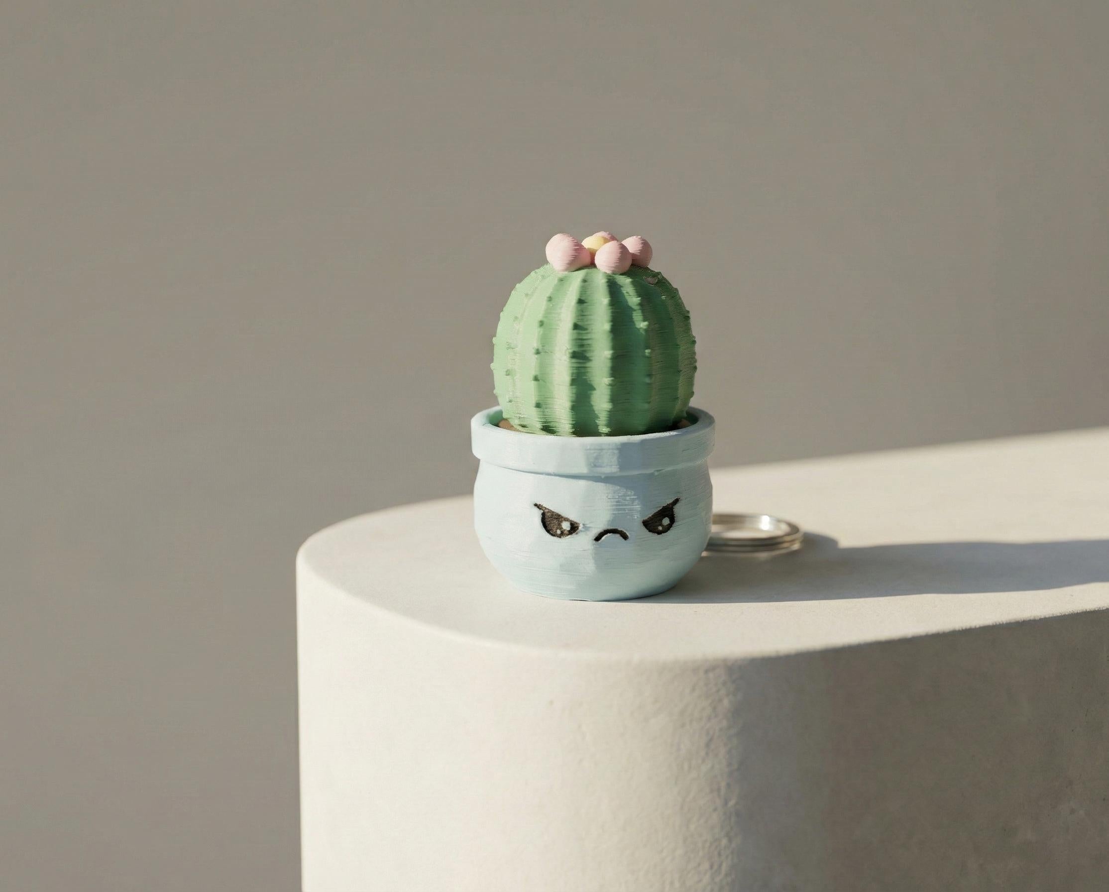 Happy Face Succulent Fidget Clicker Keychain